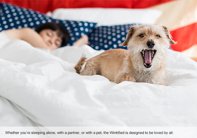 Whether you're sleeping alone, with a partner, or with a pet, the WinkBed is designed to be loved by all.