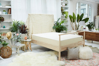 The EcoCloud Hybrid